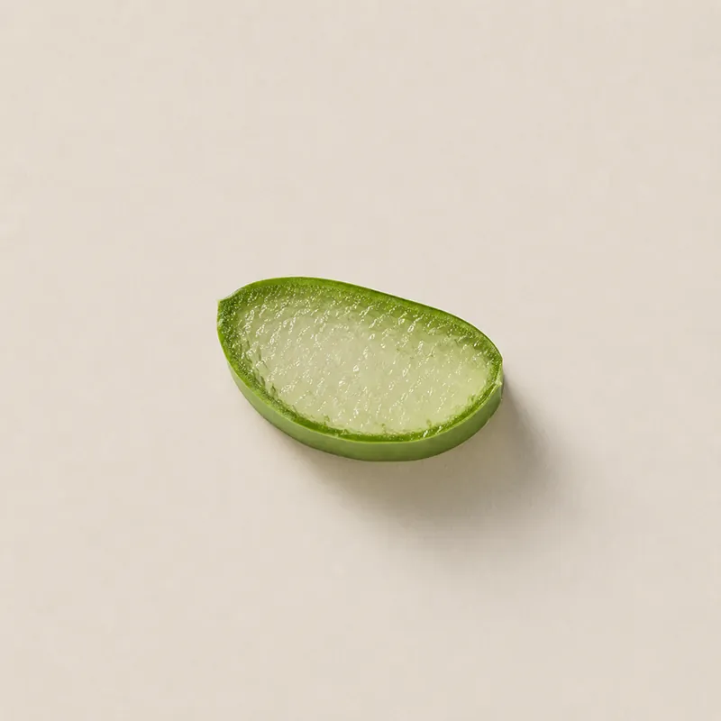 Aloe vera